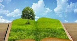 &#24320;&#20113;&#32593;&#39029;&#29256;&#95;&#24320;&#20113;&#40;&#20013;&#22269;&#41;&#23448;&#26041;